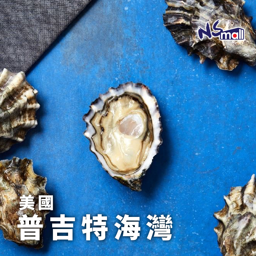 美國 普吉特海灣 生蠔 約100g/隻