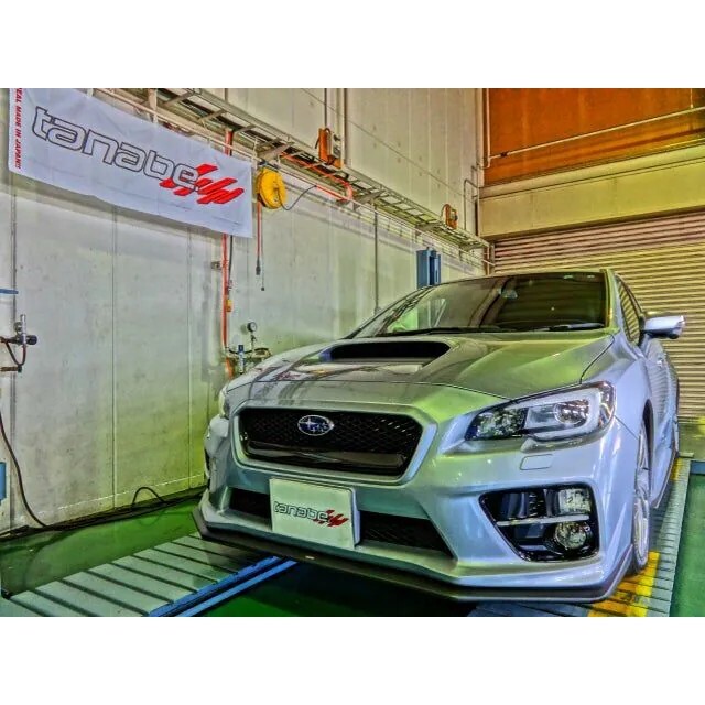 TANABE 底盤後下兩點拉桿 SUBARU WRX STI 2014-2022