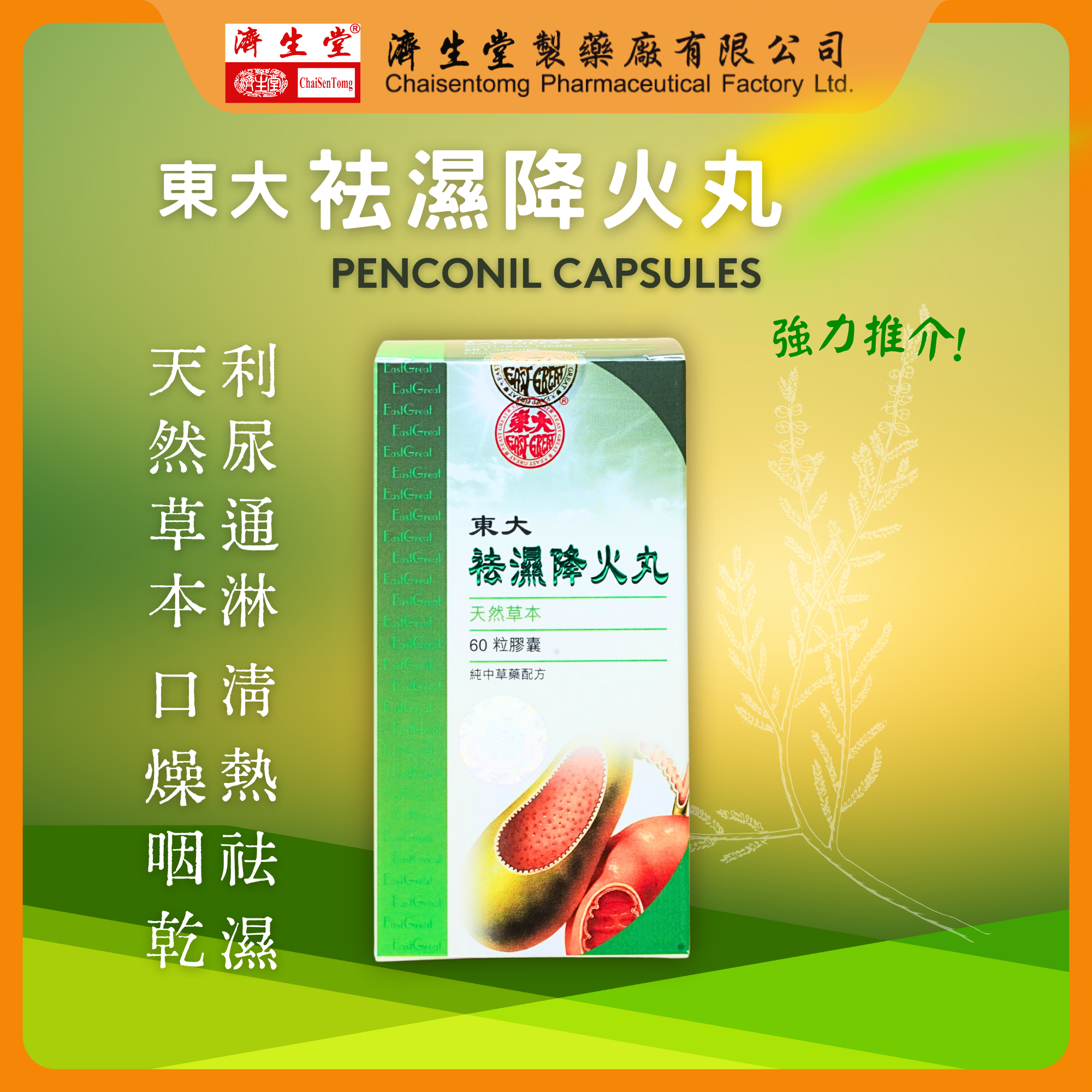 EAST GREAT PENCONIL CAPSULES