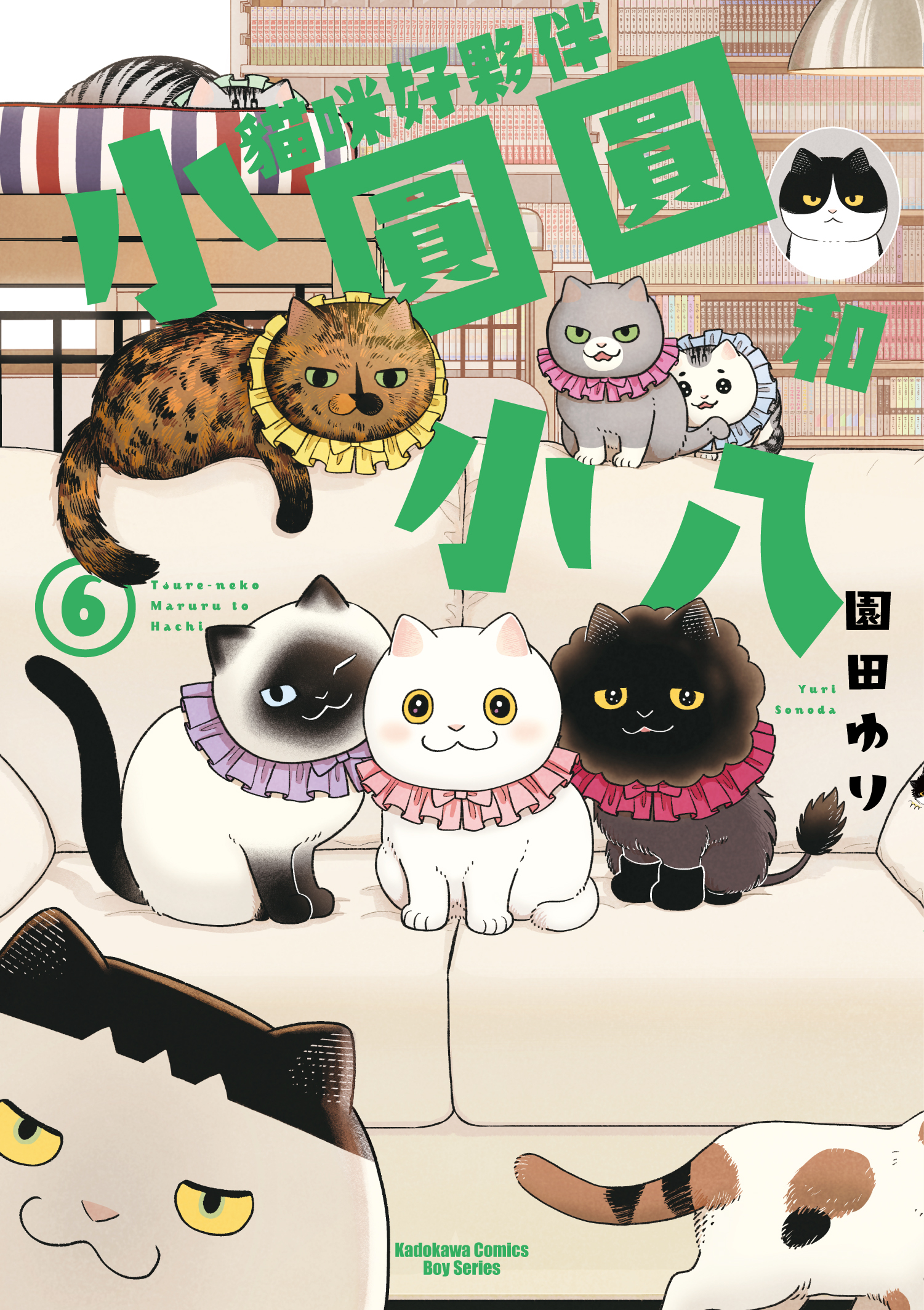 貓咪好夥伴小圓圓和小八 (6)