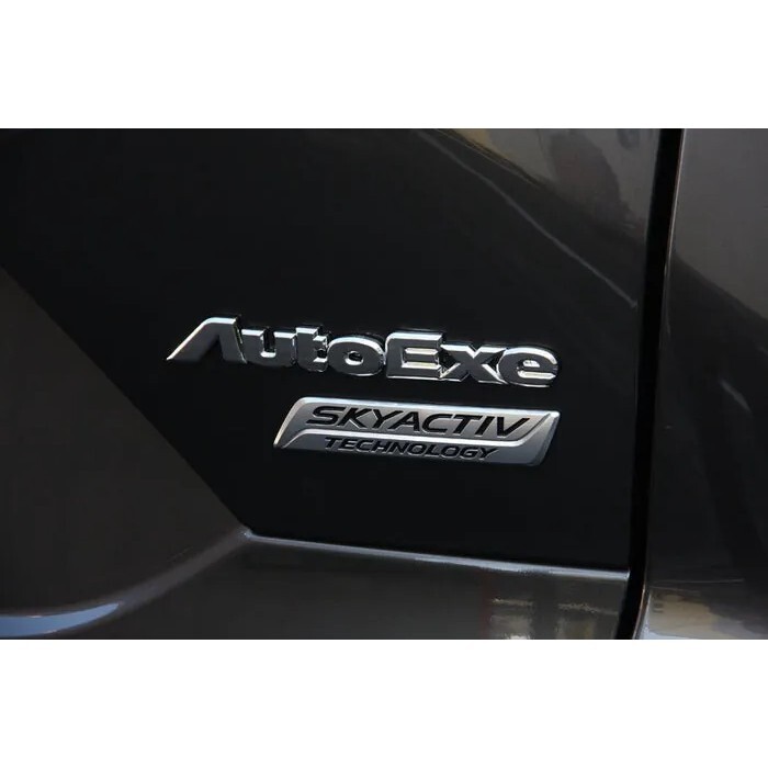 AUTOEXE 立體標誌 金屬銀標誌