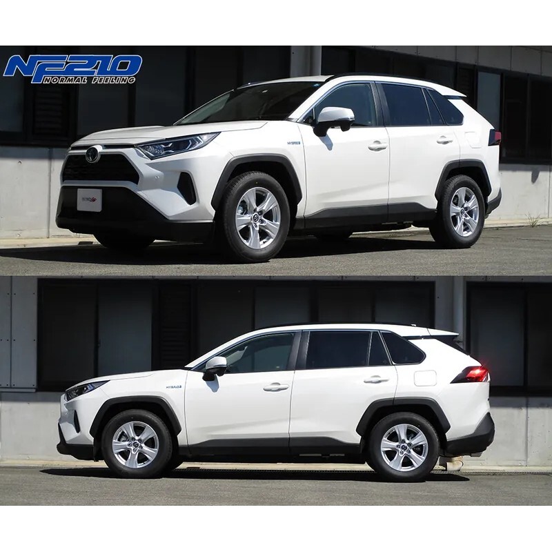 TANABE NF210 短彈簧組 TOYOTA RAV4 2WD 2019-