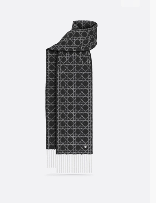 Dior Cannage Scarf