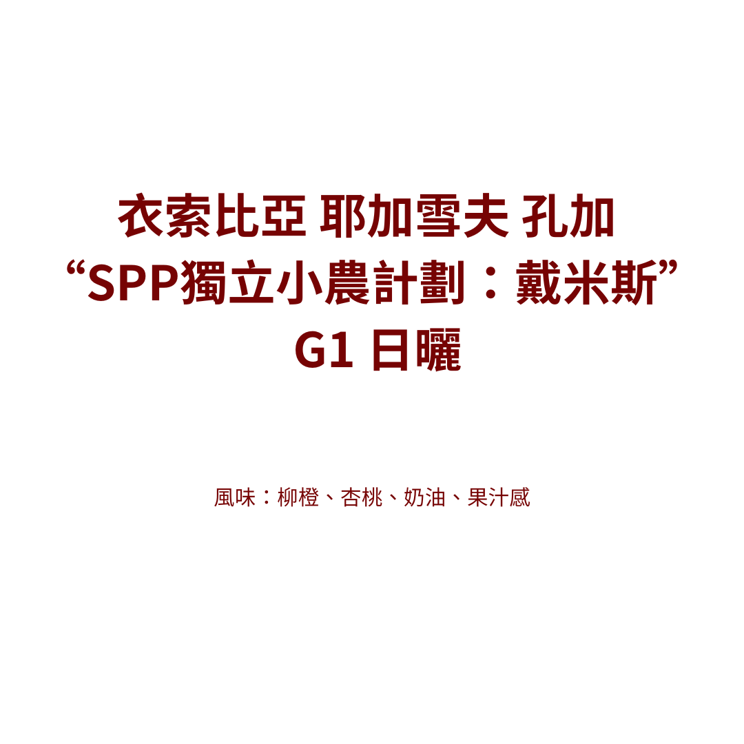 【咖啡生豆】衣索比亞 耶加雪夫 孔加 “SPP獨立小農計劃：戴米斯” G1 日曬
