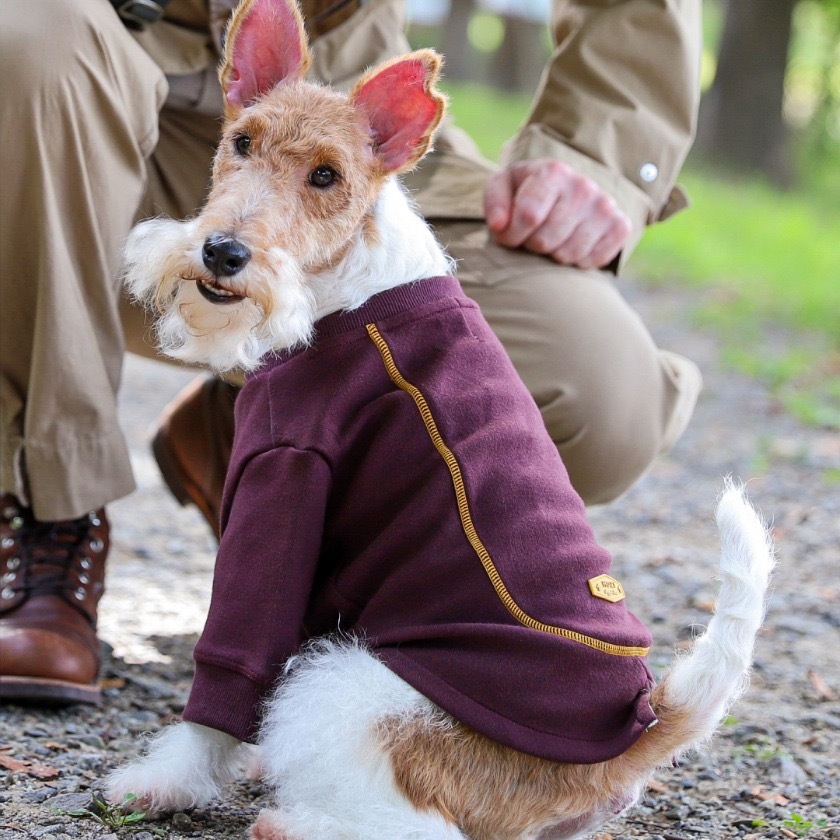 Scout Crewneck Sweatshirt