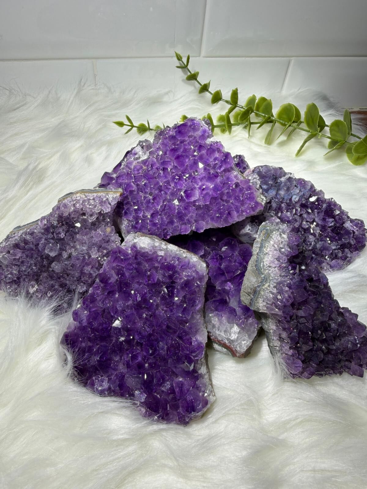 【直播】L081619 紫水晶件 (隨機發放) (回贈$50購物金)