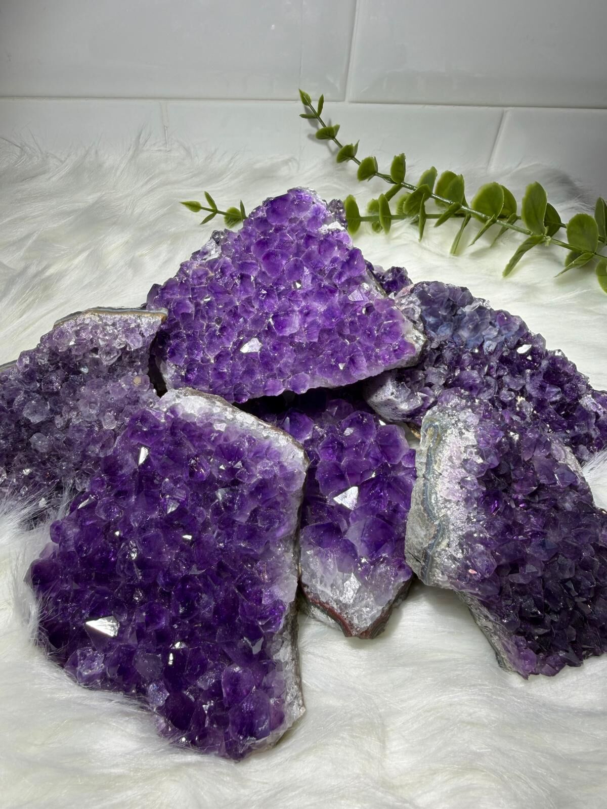 【直播】L081619 紫水晶件 (隨機發放) (回贈$50購物金)