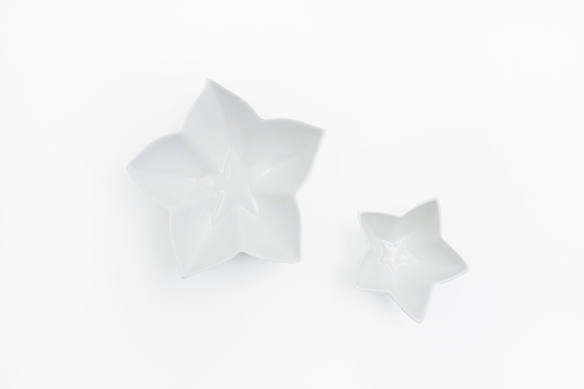 RAYNAUD LIMOGES｜ Minéral Collection