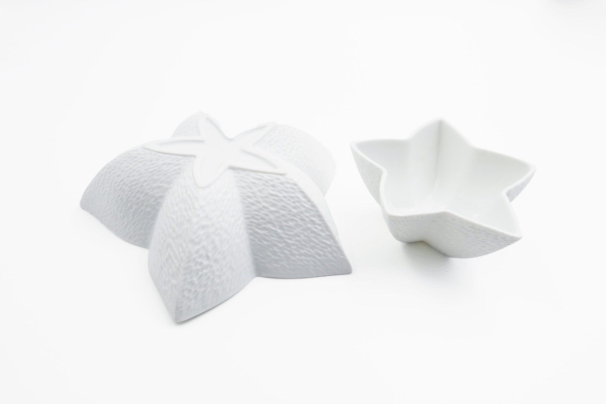 RAYNAUD LIMOGES｜ Minéral Collection