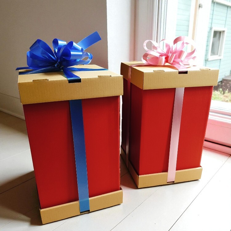 法國兔毛毯尿布蛋糕禮盒