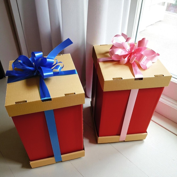 法國兔毛毯尿布蛋糕禮盒