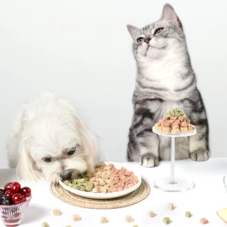 汪喵星球 – 犬貓凍乾保健零食 (關節保健丁) (紫) 20g