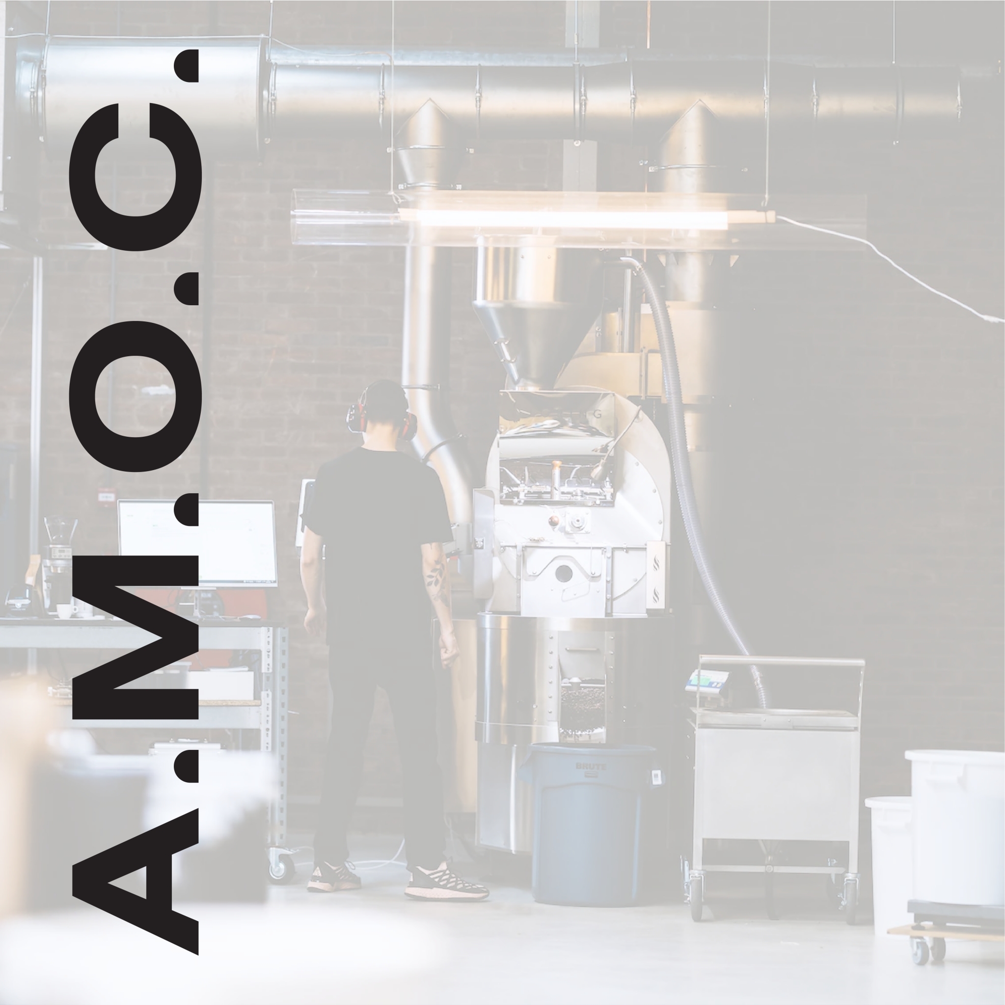 巴西 /054 Fazenda Guariroba 黃卡杜艾  水洗厭氧 【 A.M.O.C 】