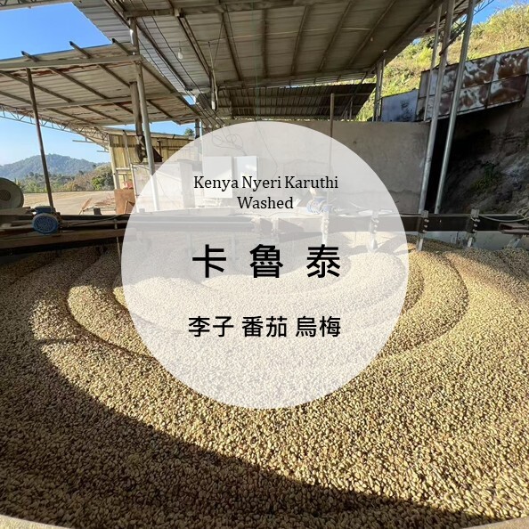 Kenya Nyeri Karuthi washed