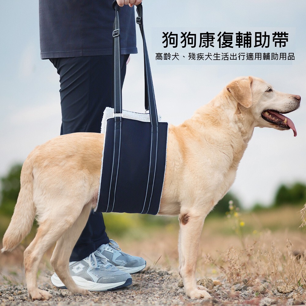 寵物輔助帶