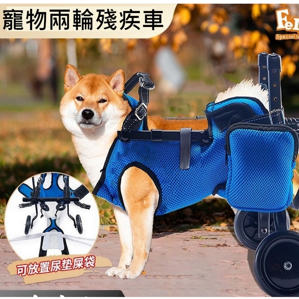 小型犬輔助代步車