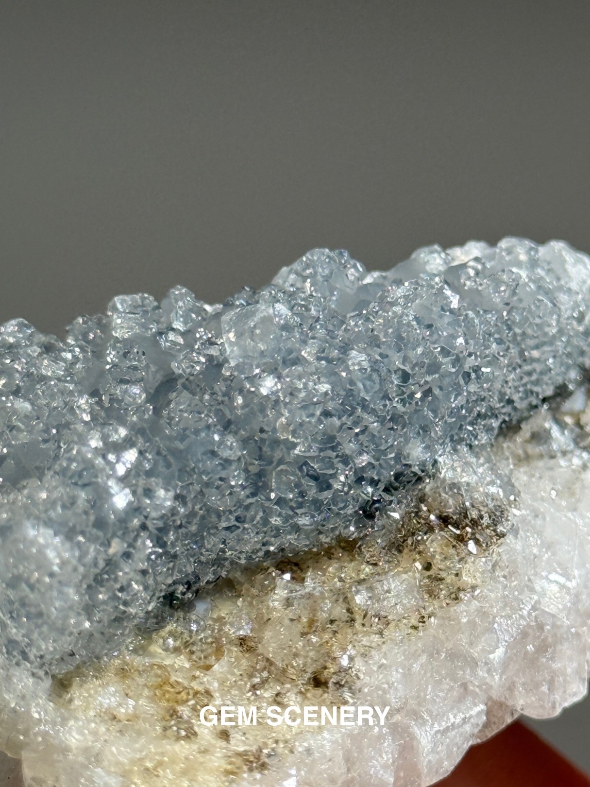 Crystallized Dawn - Apophyllite on Blue Chalcedony