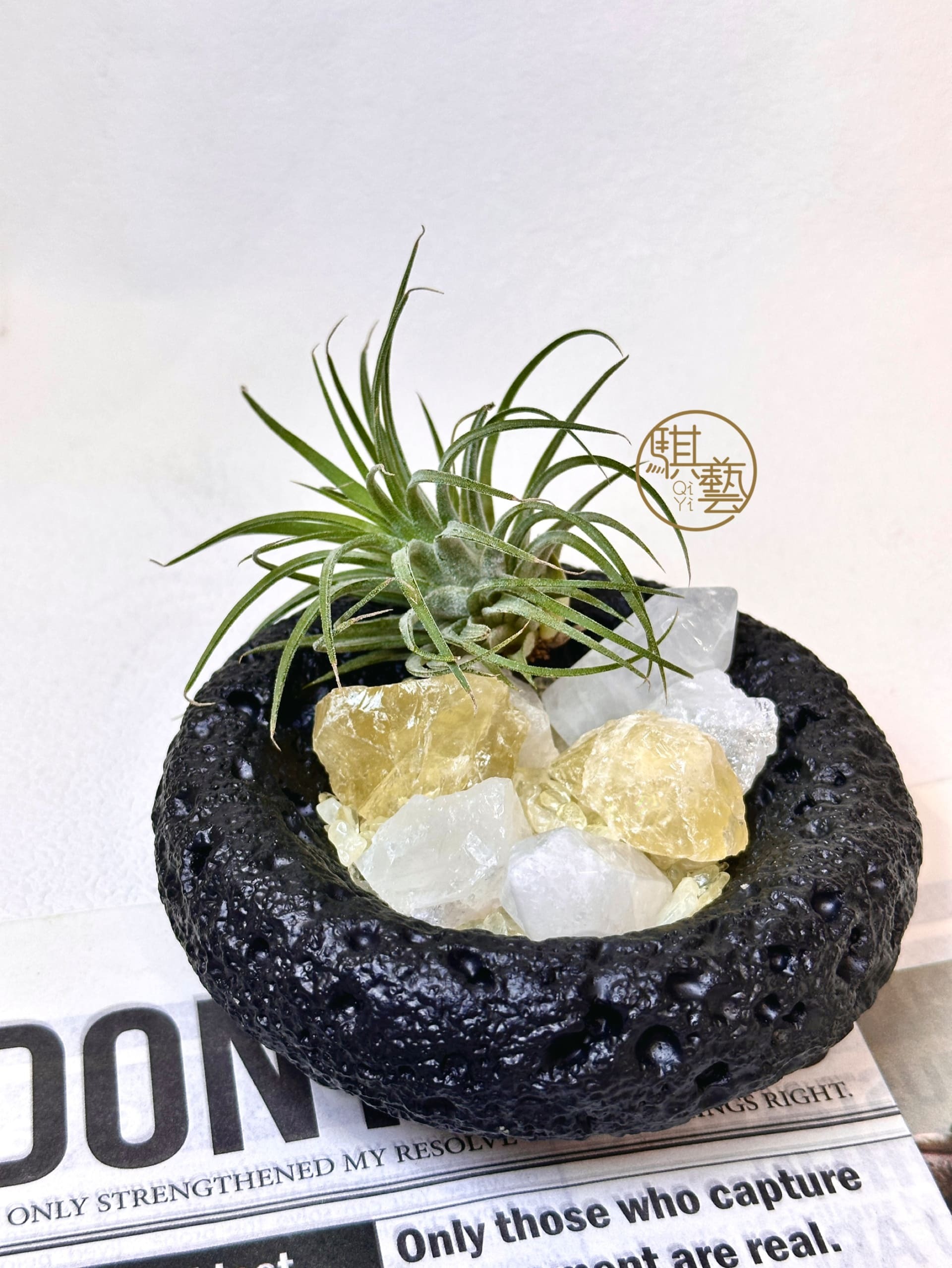 實體店1元下單區