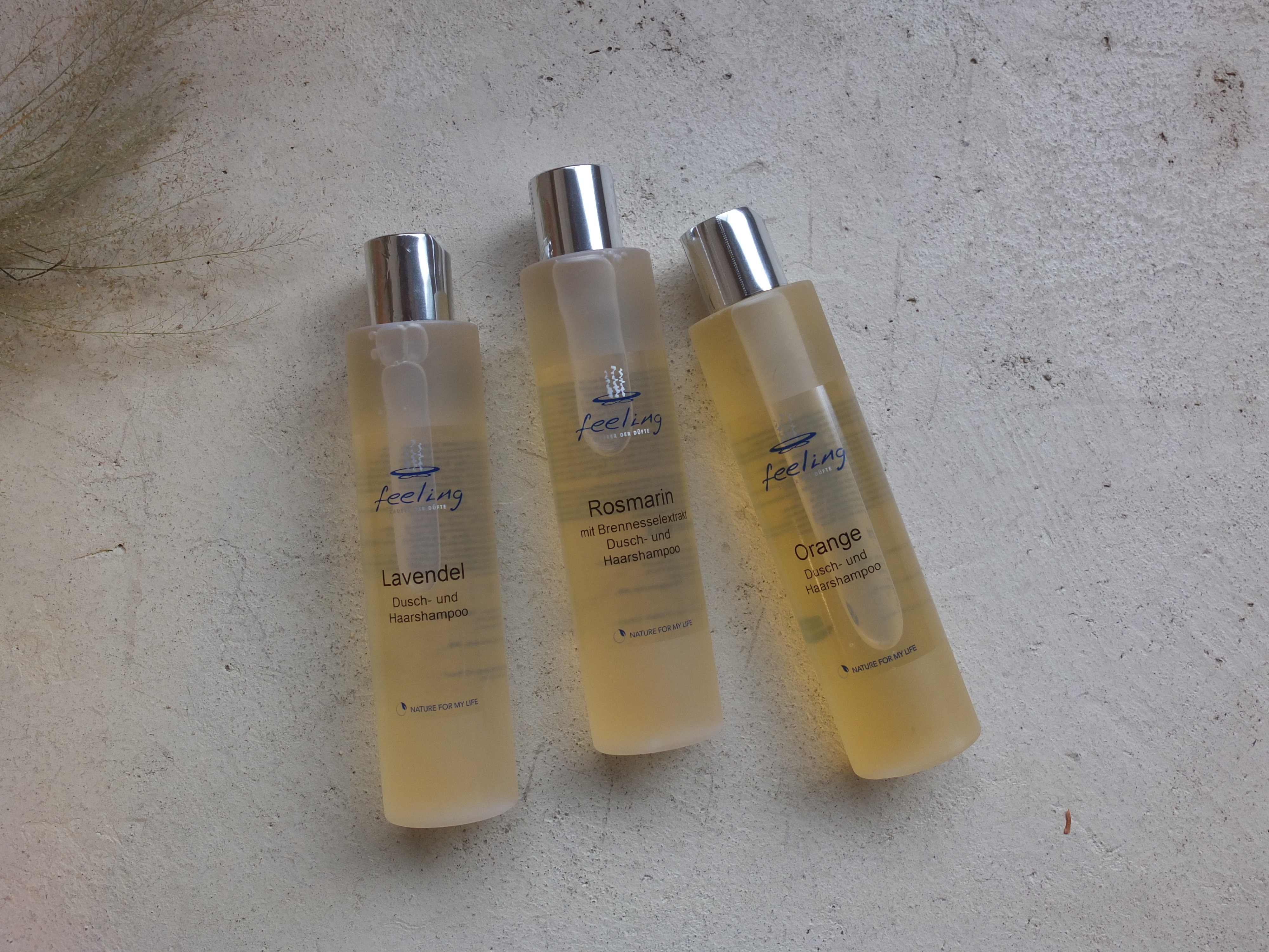 涼爽沐浴 | 風元素潔淨露