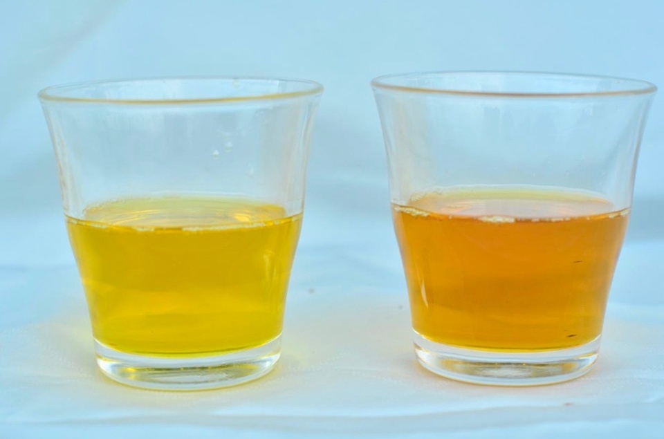 古人把苦茶油叫做「長壽油」，相信每天喝上一小匙，就能養肝顧胃、潤腸延年。