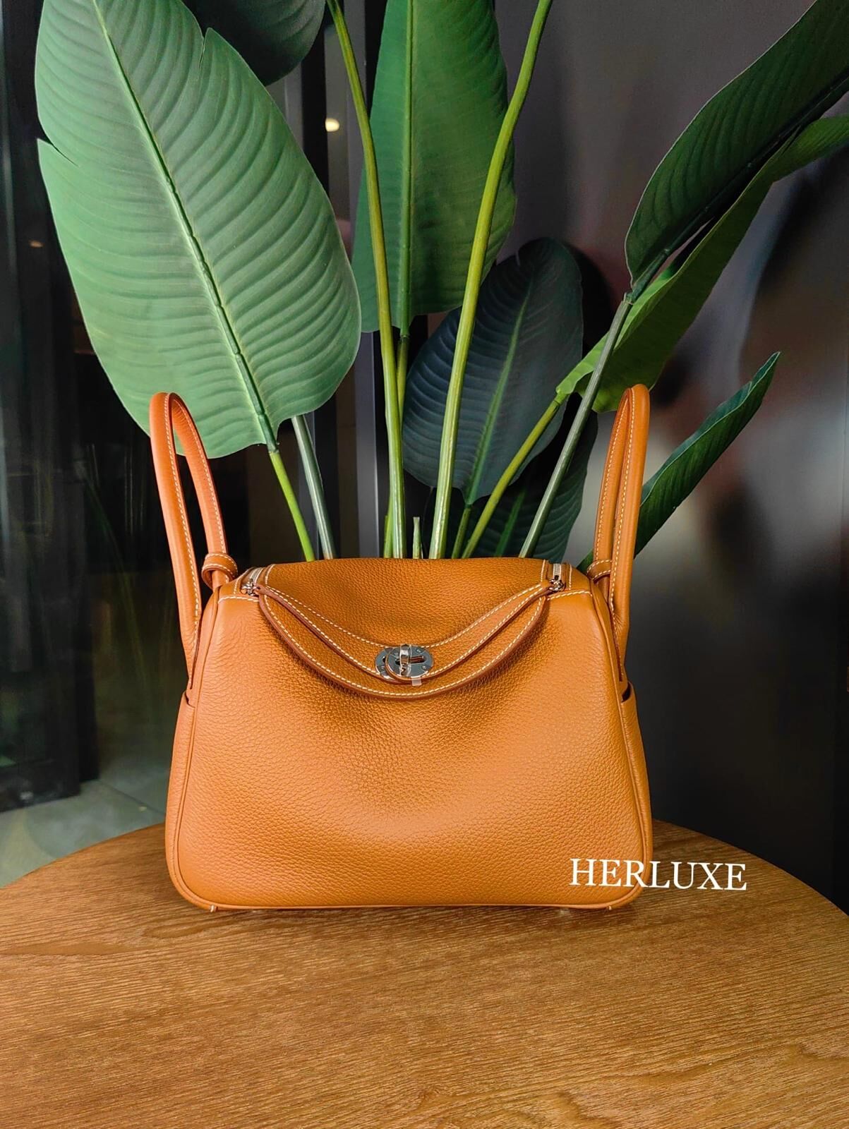 Lindy mini ll 93 orange ck tc k （二代：肩帶長92cm)