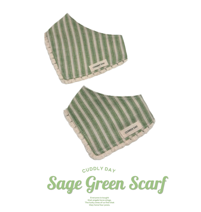 【預購】cuddly day｜Sage Green Scarf