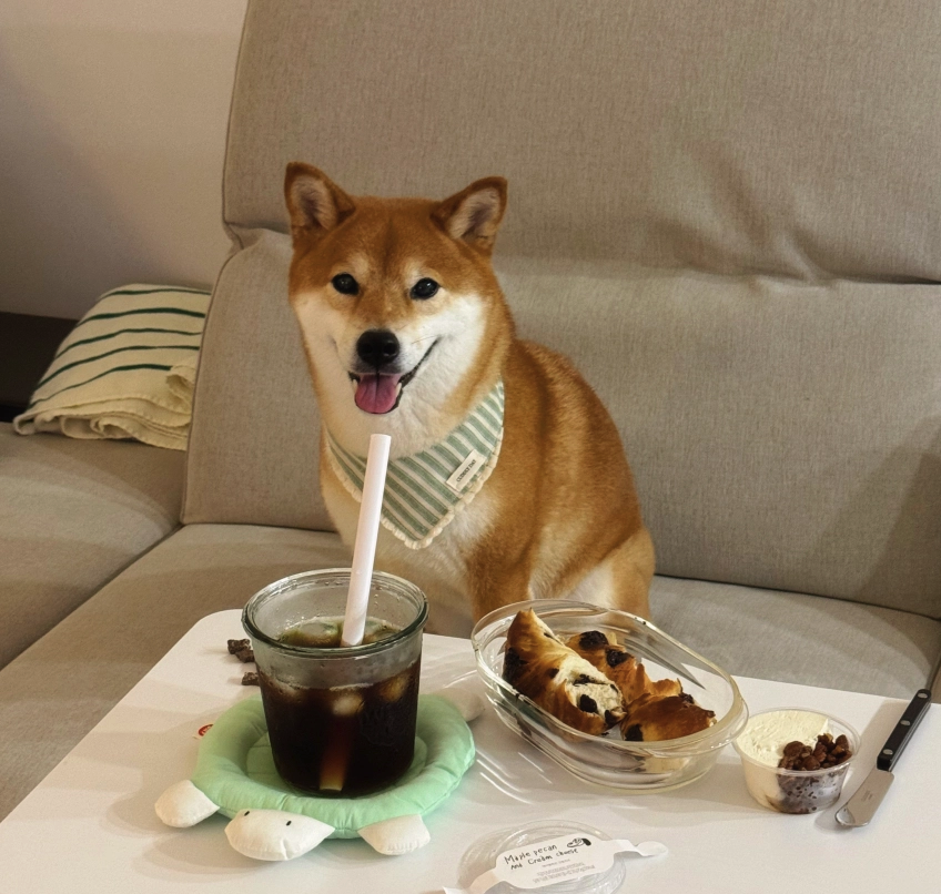 【預購】cuddly day｜Sage Green Scarf