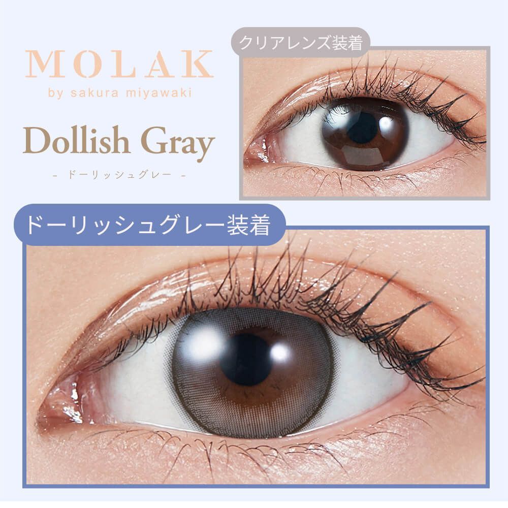 Molak 1 day(Dollish Gray)(10片)