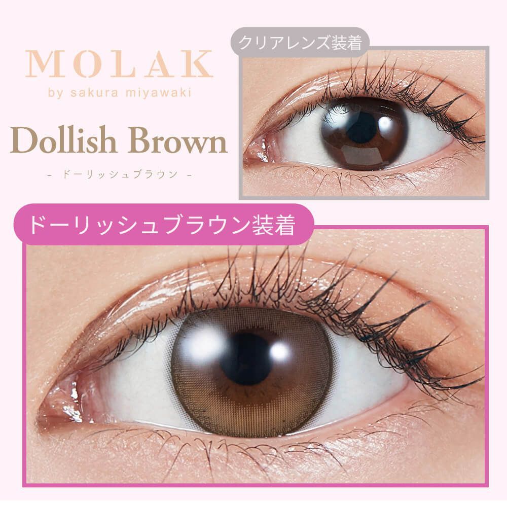 Molak 1 day (Dollish brown)(10P)
