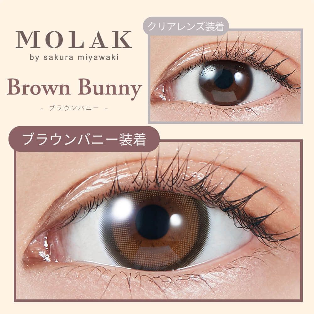 Molak 1 day(Brown Bunny)(10P)