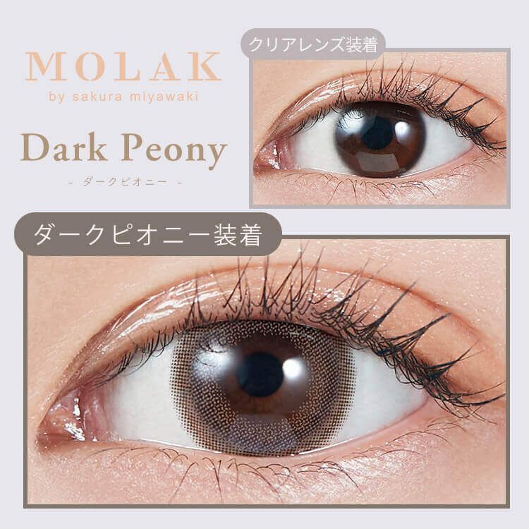 Molak 1 day(Dark Peony)(10P)