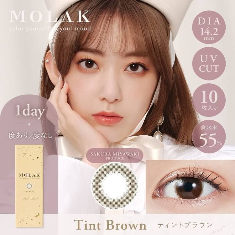 Molak 1 day (Tint Brown)(10P)