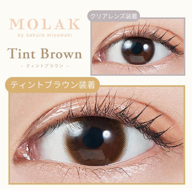 Molak 1 day (Tint Brown)(10P)