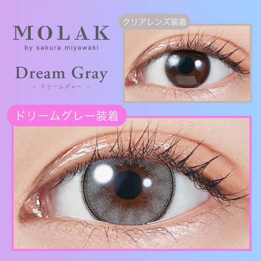 Molak 1 day (Dream Gray)(10P)