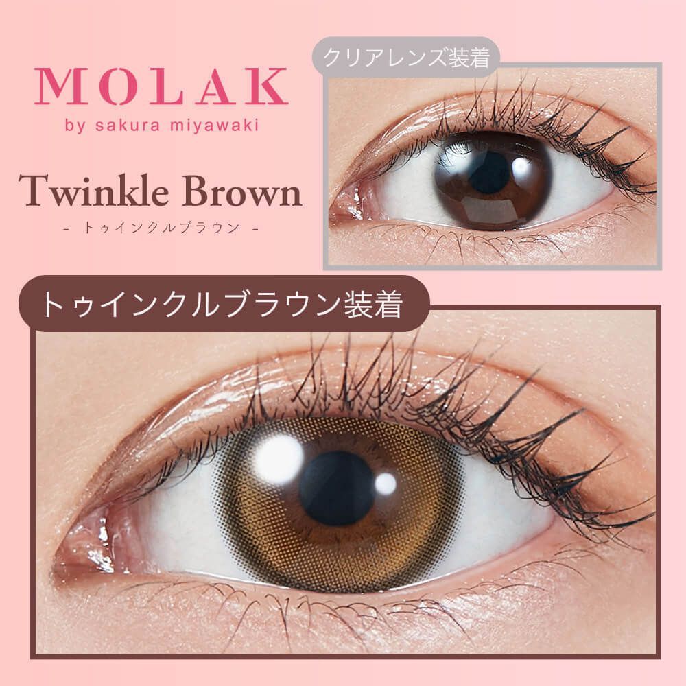 Molak 1 day (Twinkle Brown)(10P)