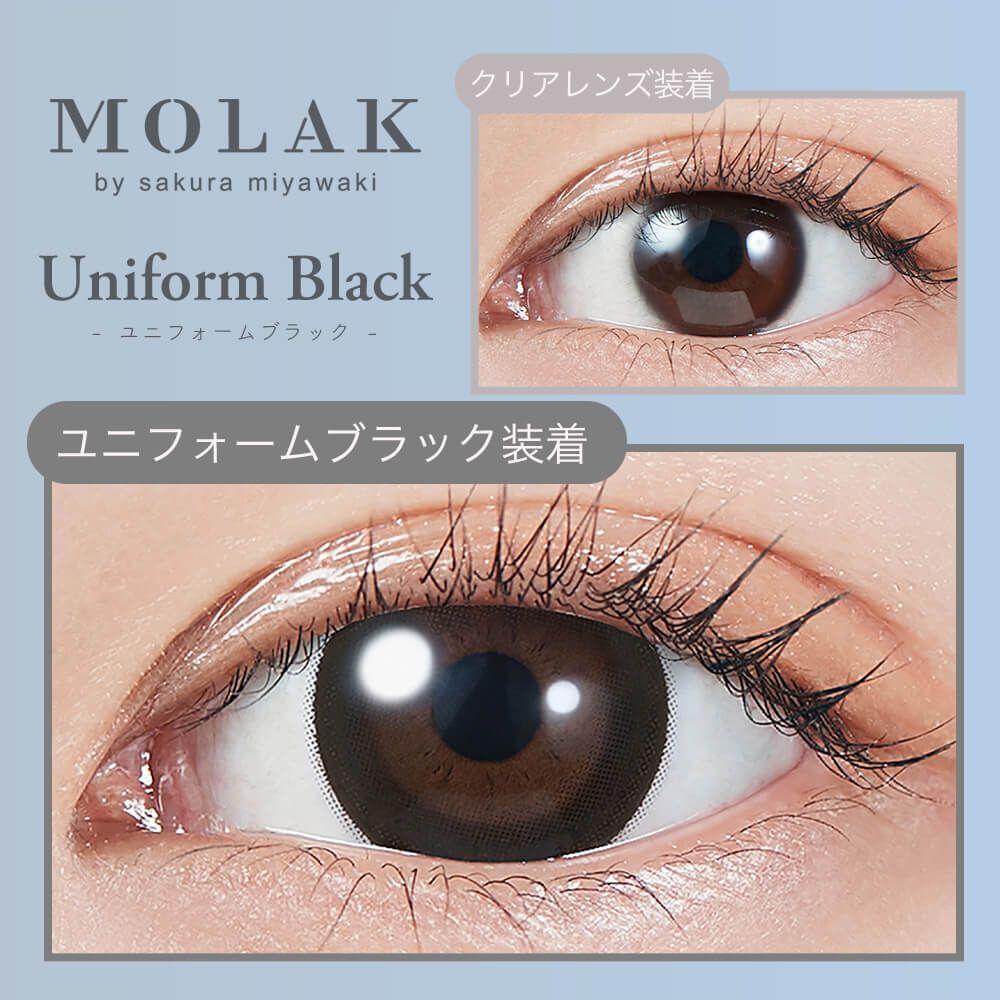 Molak 1 day (Uniform Black)(10P)