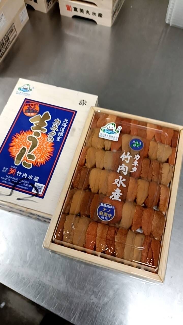竹內水產 AB Grade 馬糞海膽 直排 250克