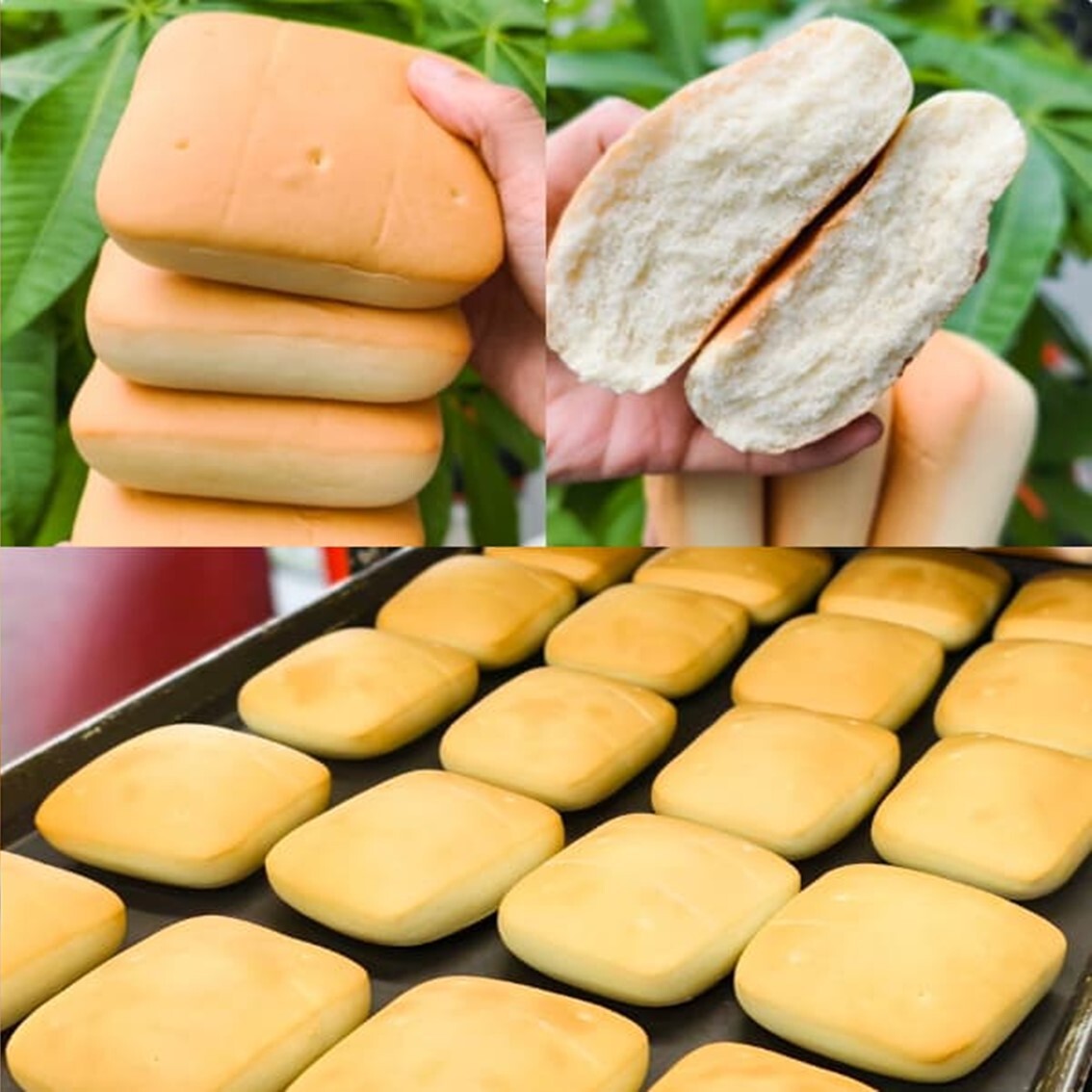 (團購)劉麵包廠(11/27到貨)