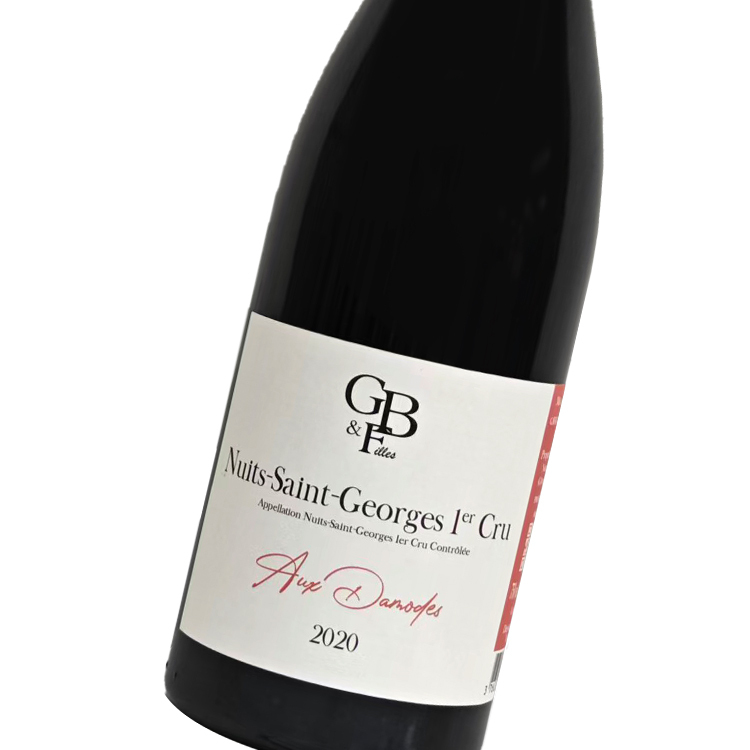 Domaine Gavignet Bethanie et Filles Nuits Saint Georges 1er Cru"Aux Damodes" 2020