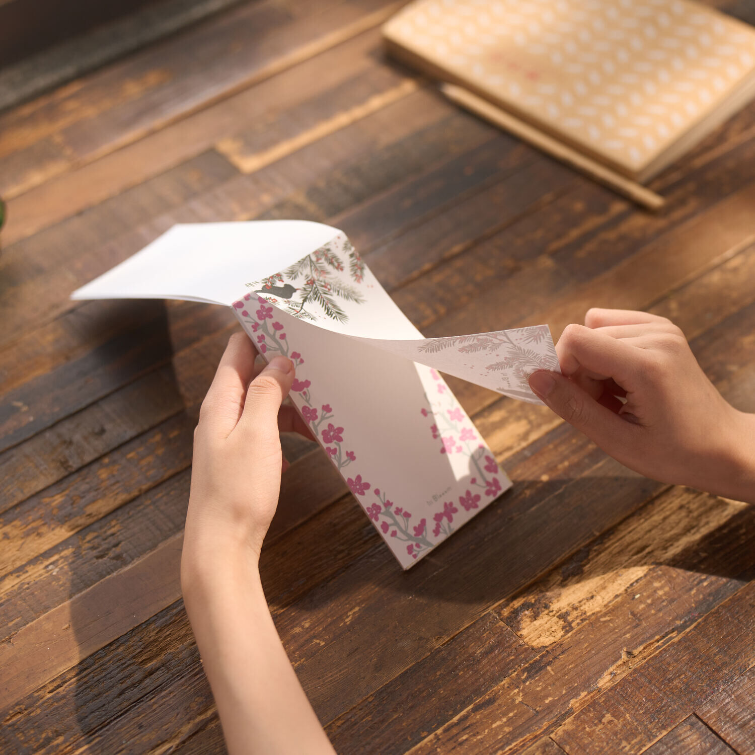 印花樂一筆箋便條紙(雙入組)/台灣原生樹/1~6月/7~12月