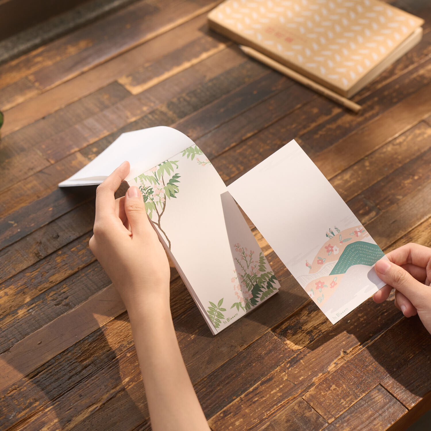 印花樂一筆箋便條紙(雙入組)/台灣原生樹/1~6月/7~12月