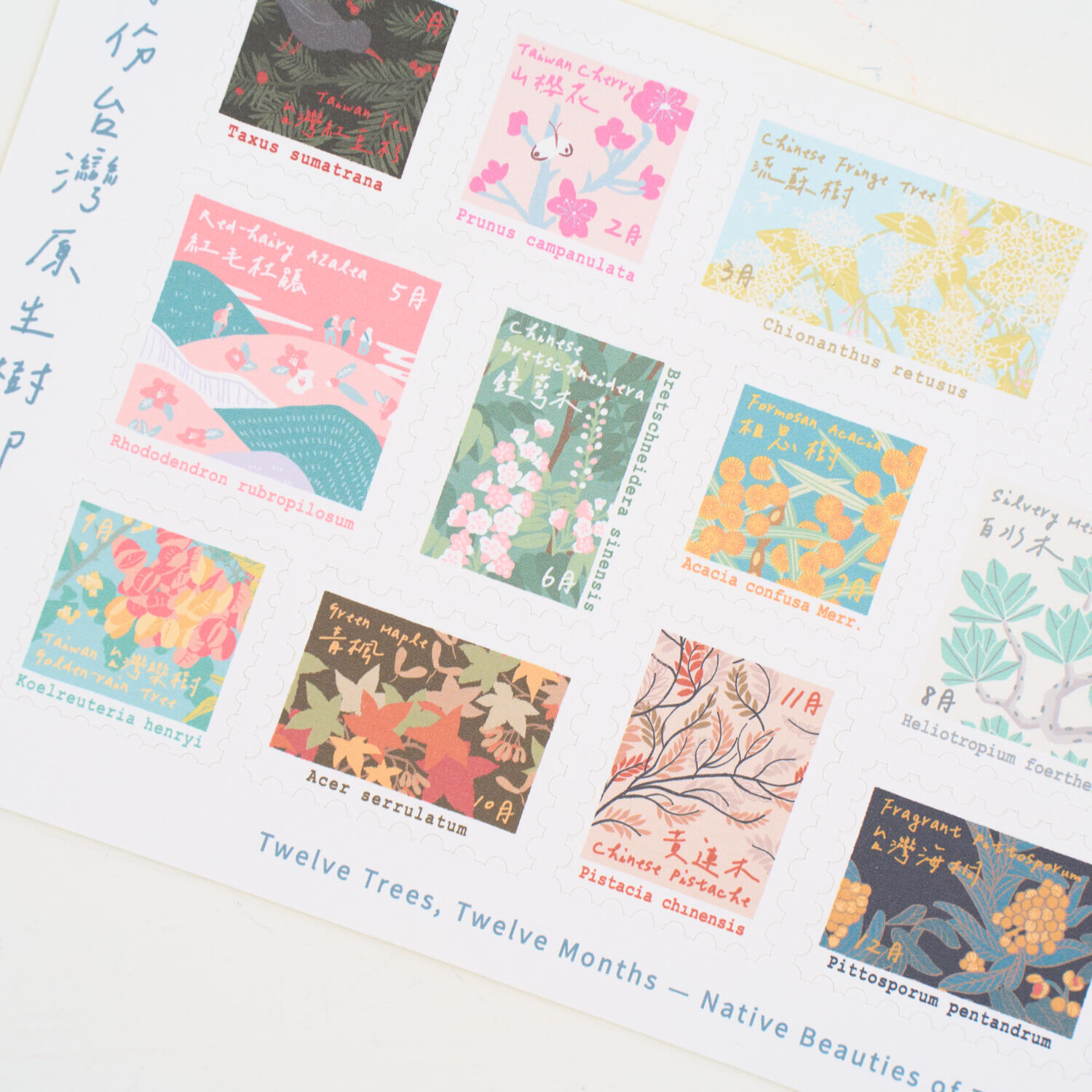 Stamp Stickers/Native Trees/12 months