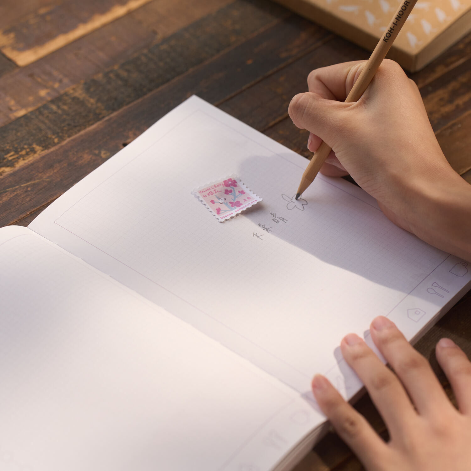 印花樂郵票造型貼紙/台灣原生樹/12月份