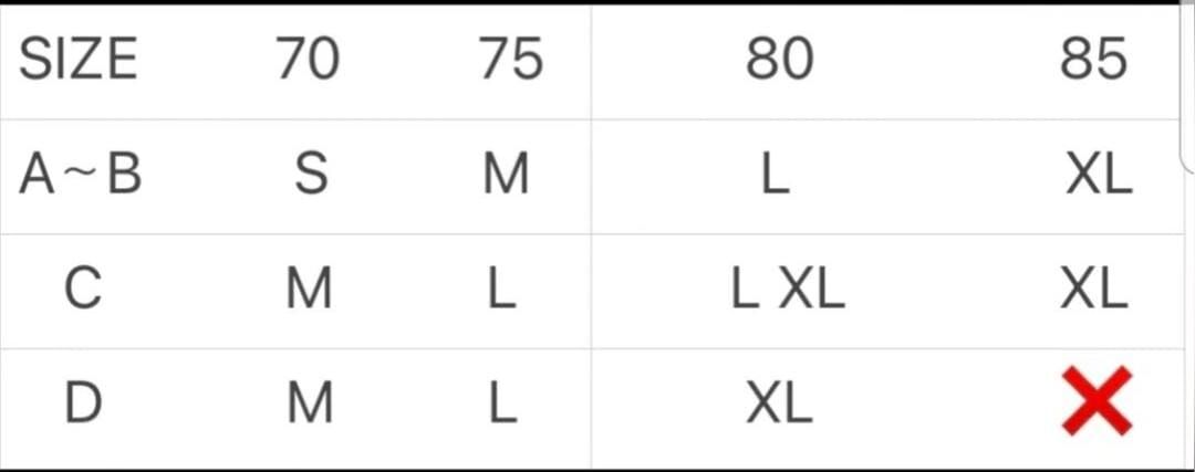 FL5160 滑感緞面花邊內衣套裝