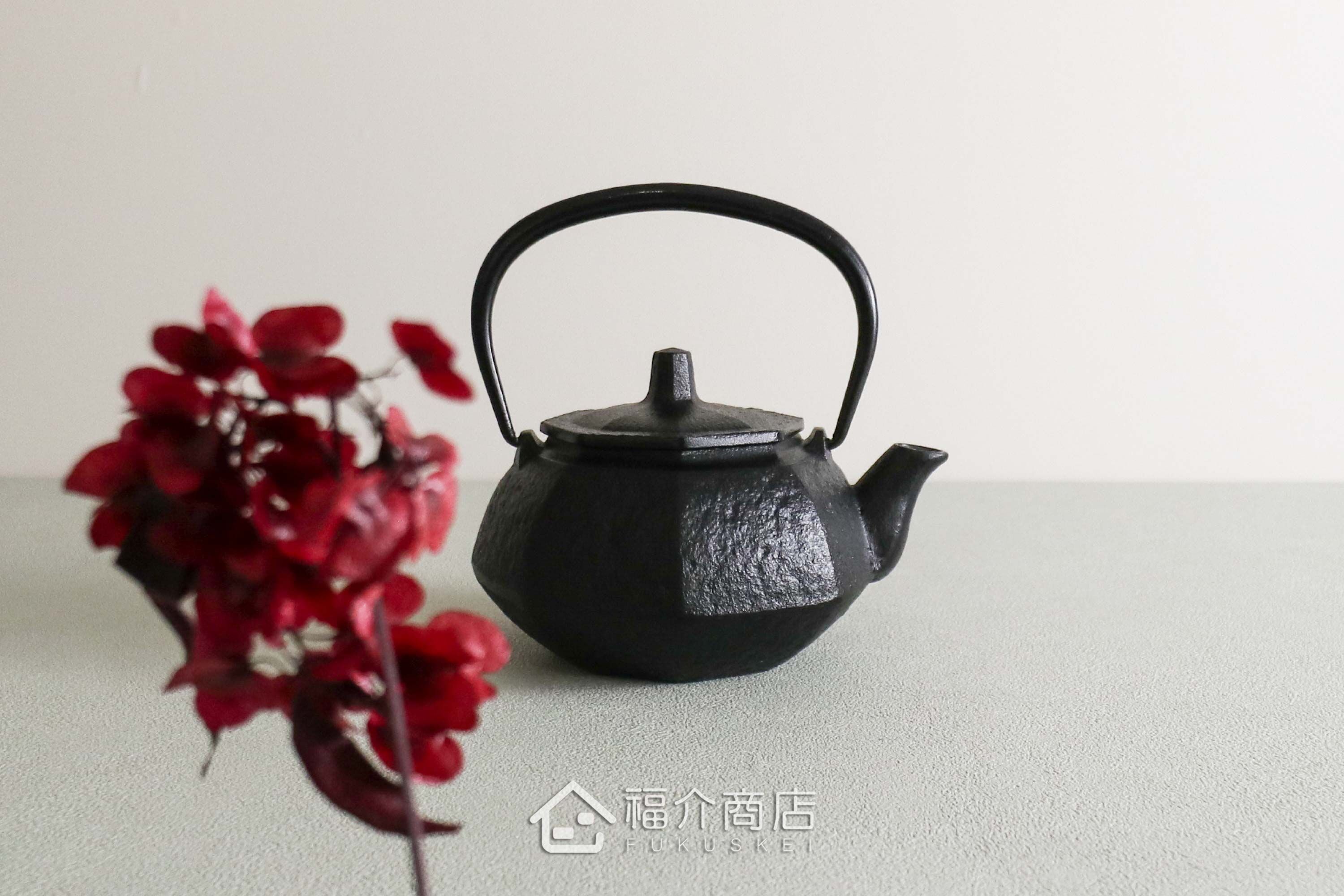 泡茶用的小容量日本鑄鐵泡茶壺