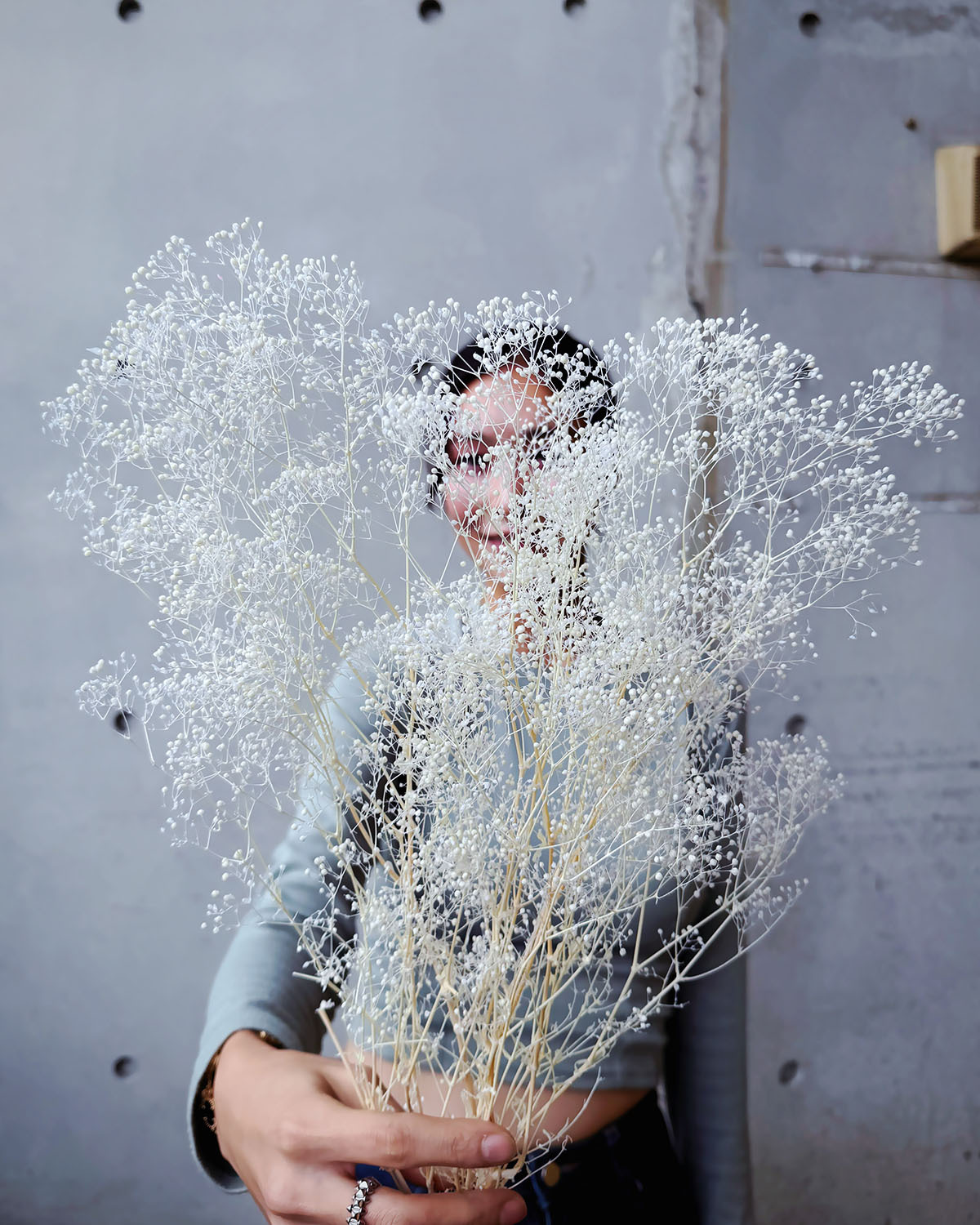 永生迷你滿天星(日本)