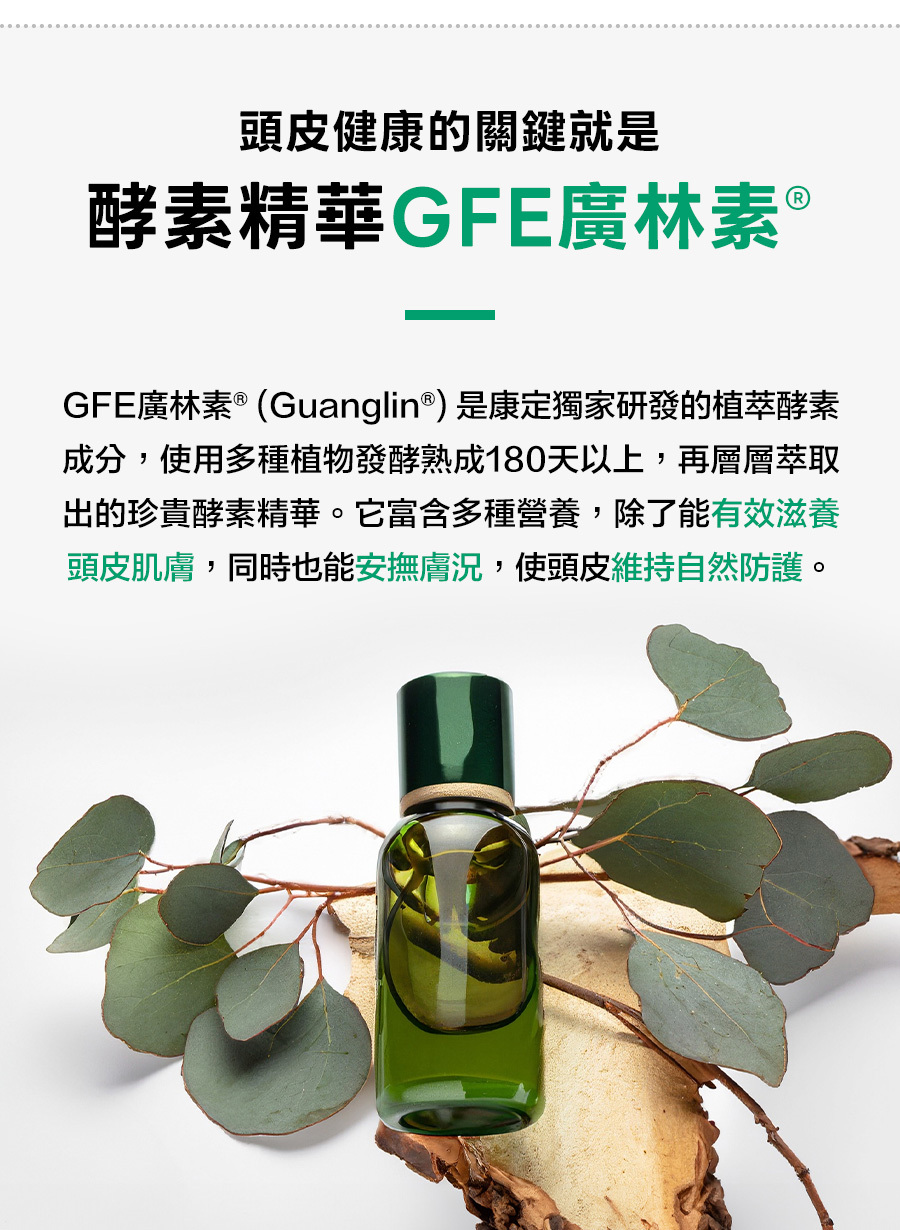 GFE廣林素