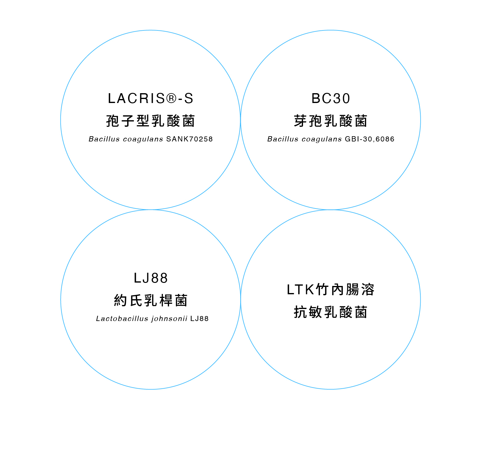貓咪 益生菌 狗狗 益生菌 四大專利