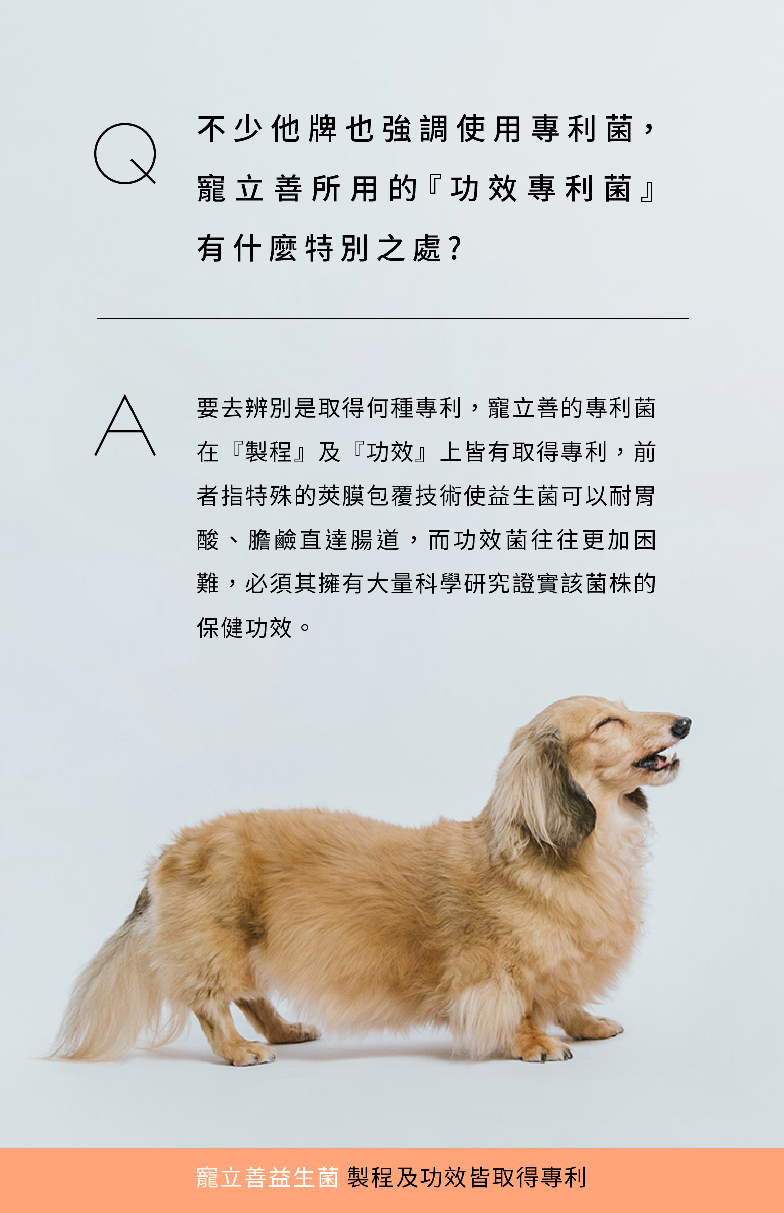 狗狗 益生菌 專利