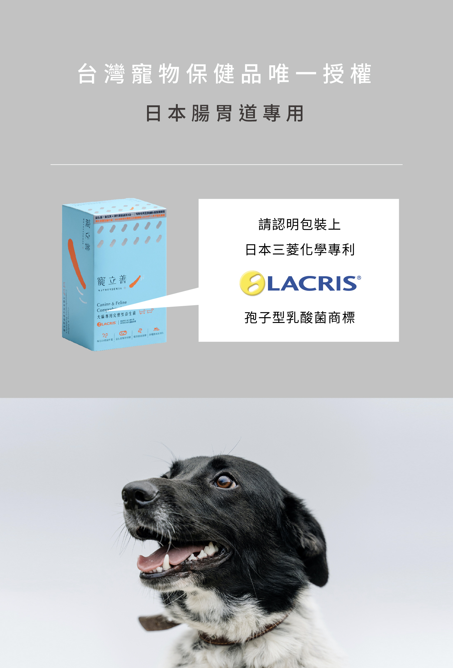 狗狗 益生菌 推薦
